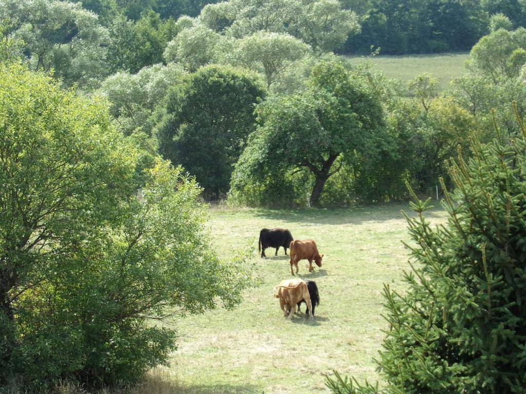 Fantastische Aussicht In Ederaue * Dodenau